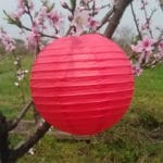 1Pcs 30cm Round Chinese Paper Lantern Birthday Paper Lanterns for Wedding Party Decoration Gift Craft DIY Wholesale Retail - Image 3