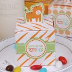 FENGRISE 40 Pieces Animal Candy Box Baby Shower Favors Boy Girl Baptism Gifts Guests Birthday Party Wedding Decoration Supplies - Image 6