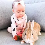 Lovely Bunny Baby Rompers Boys Clothes Toddler Girl Costume Jumpsuit Baby Child Zipper Pajamas Sleepwear Baby Born Soft Outfits - Image 5