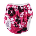 Reusable Baby Training Pants for Baby Swimming Unisex Baby Swimmingwear Diaper Pants Baby Boy Swimwear Swimming Training Pants - Image 2