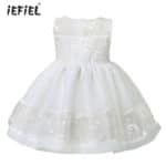 White Color Newest Birthday Baby Girls Dresses Christening Gowns Infant Newborn Babies Baptism Embroidered Princess Dresses