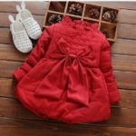 new autumn winter dress baby dress baby princess dress children long-sleeved dress girls thick padded jacket Free shipping 0-2T - Image 2